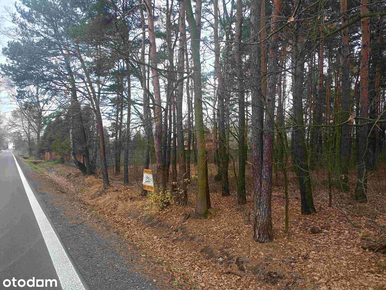 Działka usługowo-budowlana z przeznaczeniem na parking lub budowę domu-2