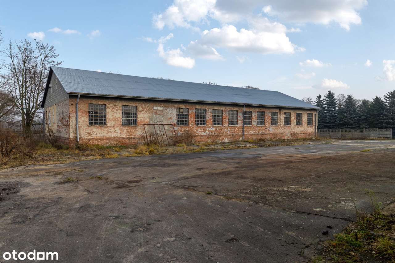 10 000  m2  w centrum Szczekocin-19