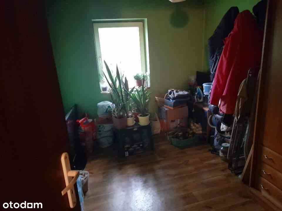 Domek całoroczny ROD - Pełny obrazek: 4/6