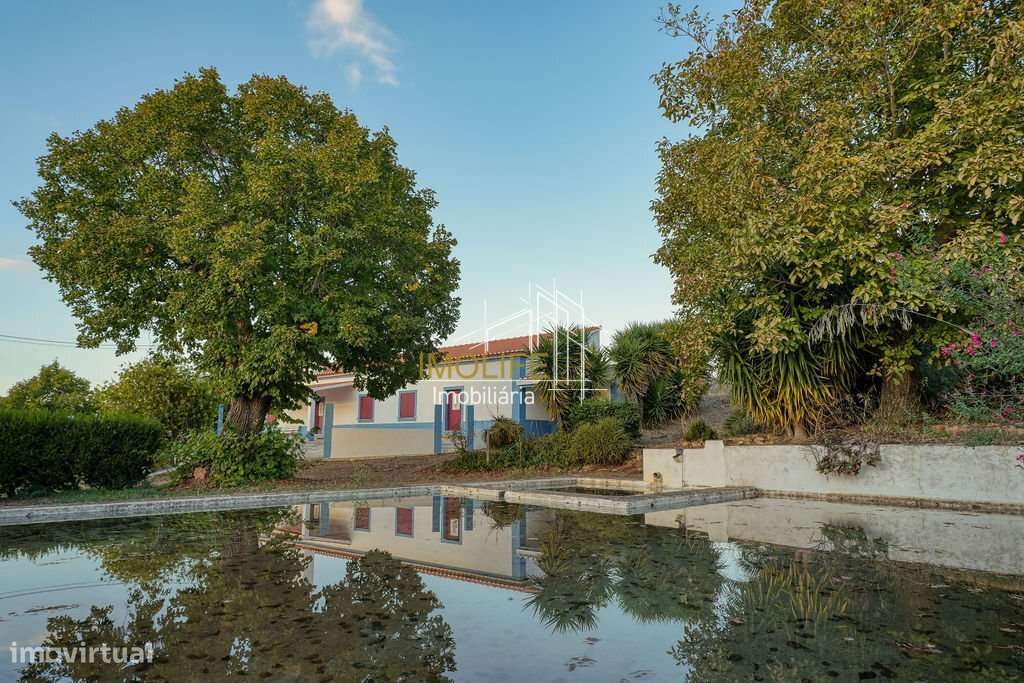 Monte Alentejano da Chamorra de Cima - Vila Boim - Grande imagem: 5/60