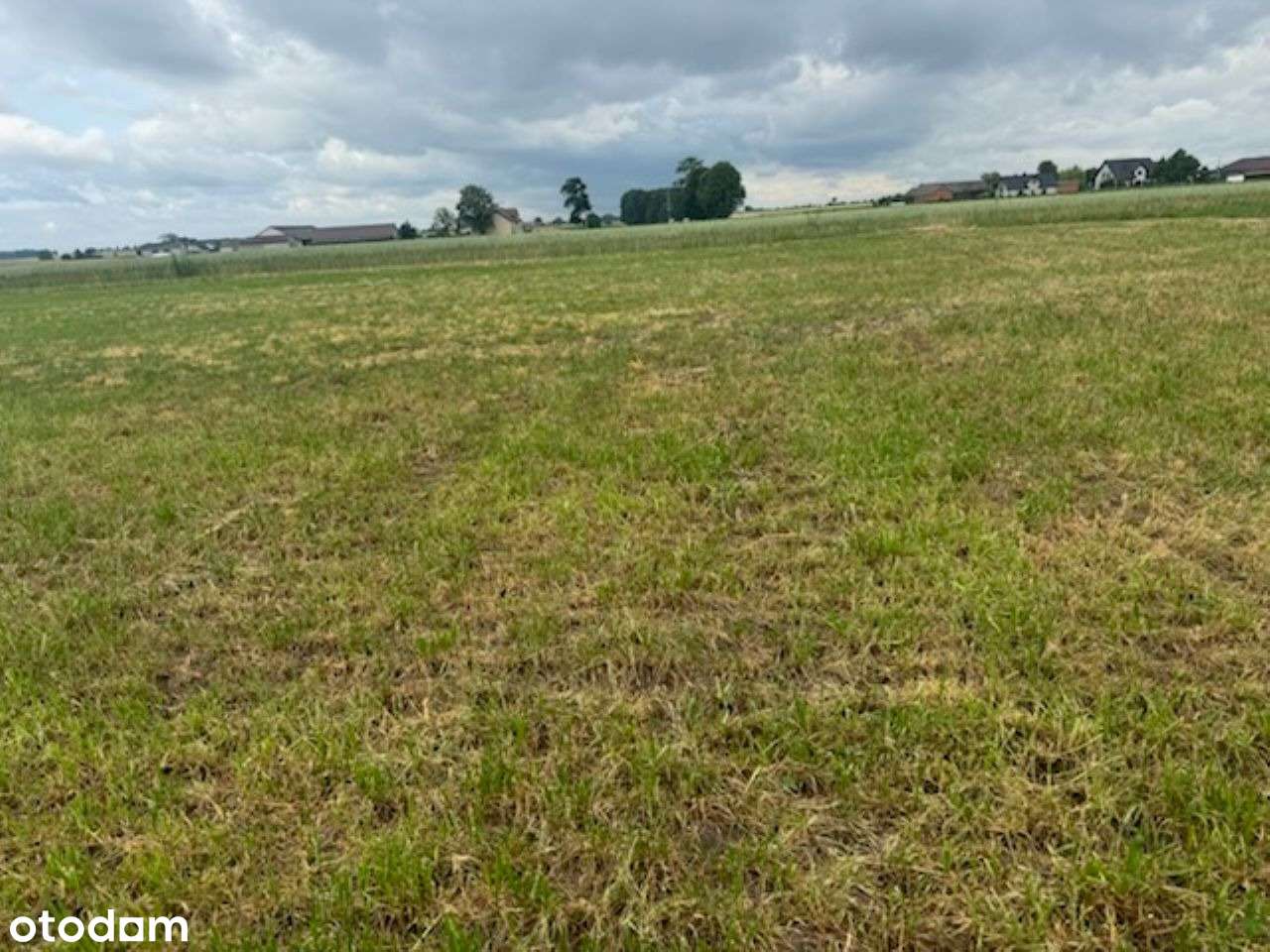 Duża działka 12 km od Wyszkowa - Pełny obrazek: 4/7