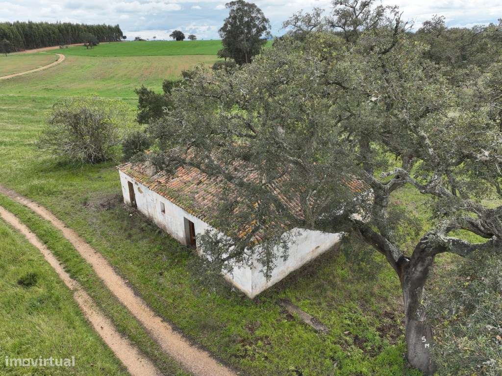 Quinta em excelente localização-39