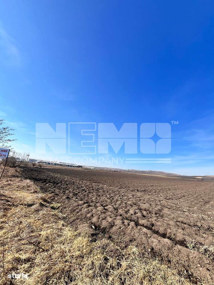 Vanzare I Teren I Suceava/Stroiesti I 100 ARI 2999 Euro/Ar - Imagine principală: 4/13
