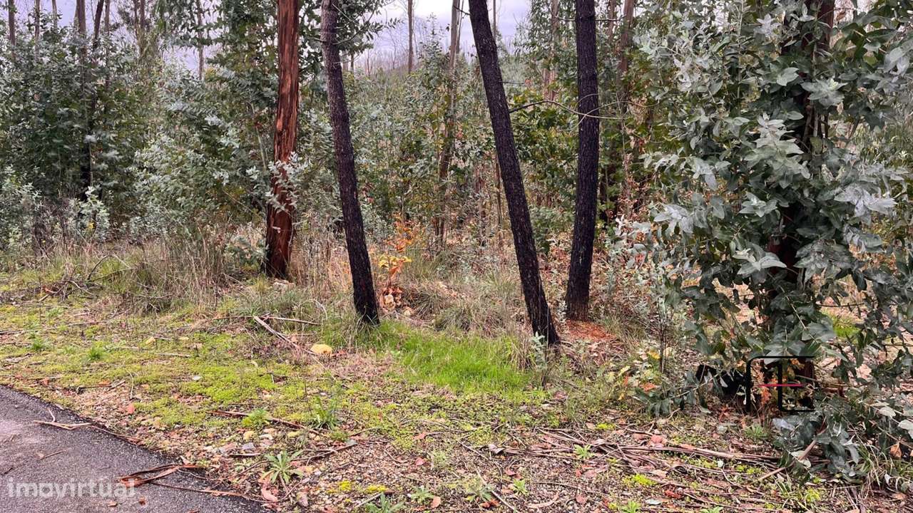 Terreno Para Construção  Venda em Macinhata do Vouga,Águeda - Grande imagem: 3/5