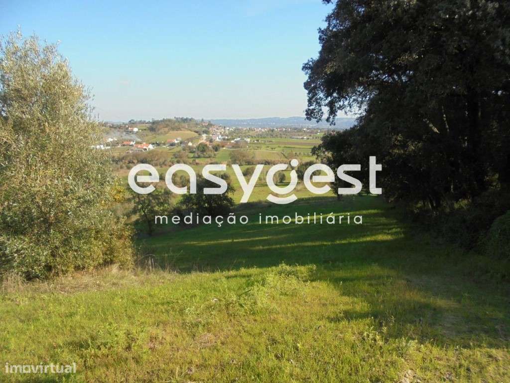 Terreno Urbano para construção em São Miguel - Tomar... - Grande imagem: 4/11