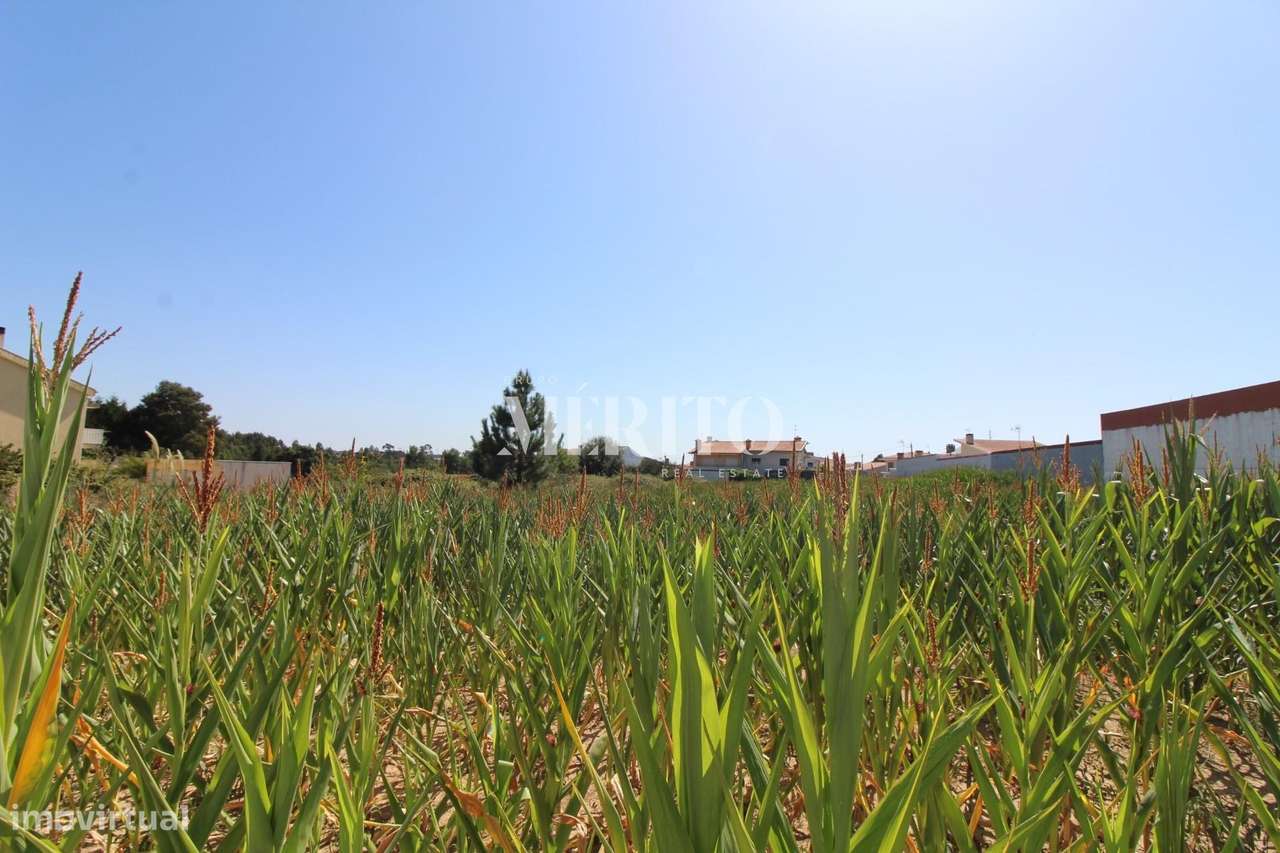 Terreno viável para construção de habitação - Grande imagem: 4/7