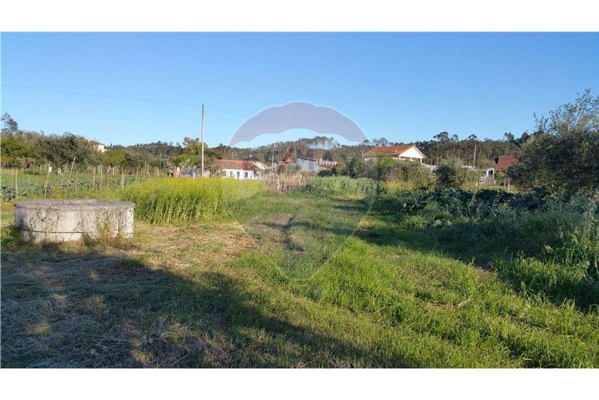 Terreno Rústico com 1740m2, 8Km de Condeixa-a-Nova - Grande imagem: 2/4