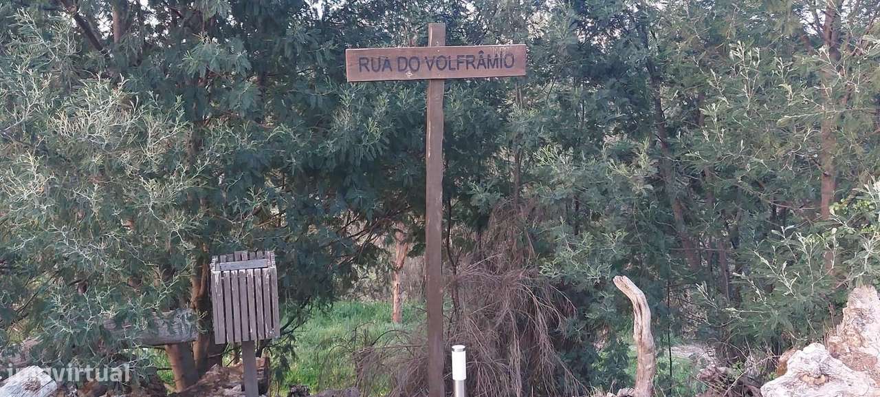 Quinta 5.3 ha, Covilhã-48