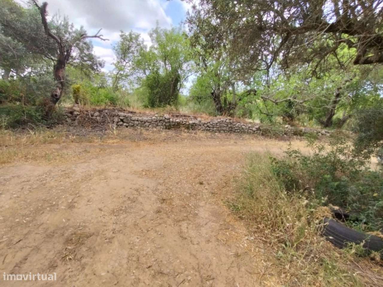 Terreno Rústico a 10km de Estoi-18