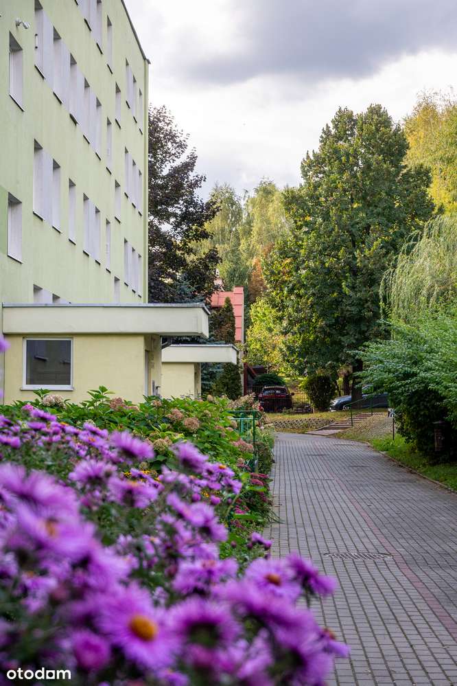 3 osobne pokoje po remoncie blisko centrum-14