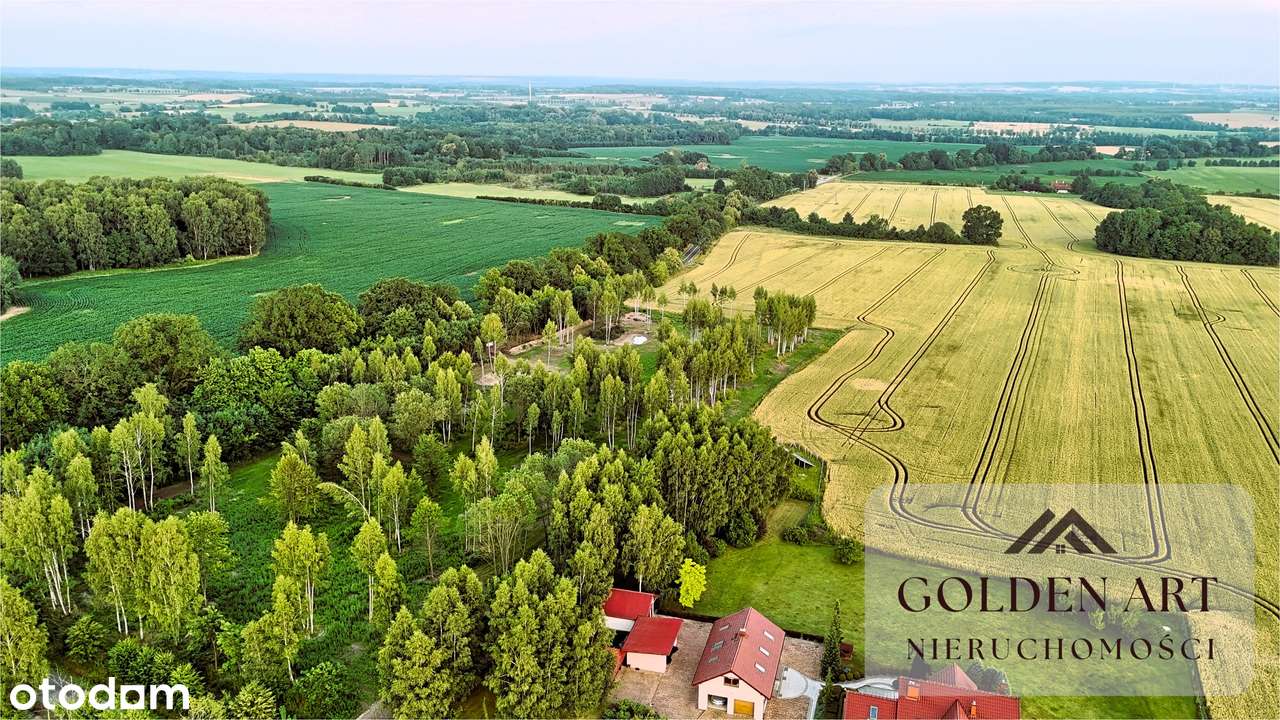 Działka na sprzedaż: Gmina Pasłęk | 5306 m² | WZ | Oczko wodne-11