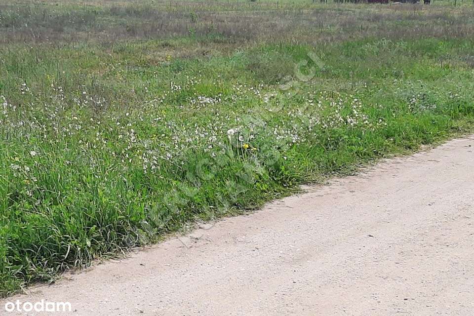 Działka 1103m2 pod zabudowę, Grodztwo koło Kowala - Pełny obrazek: 4/5