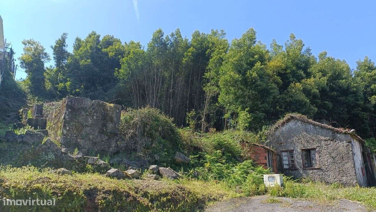 PRÉDIO MISTO ( Urbano e Rústico ) - Oliveira de Azeméis - Grande imagem: 4/8