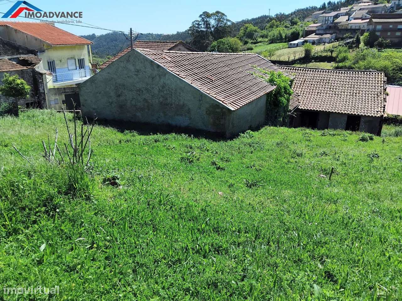 Casas para restauro no Concelho de Penacova - Coimbra-24