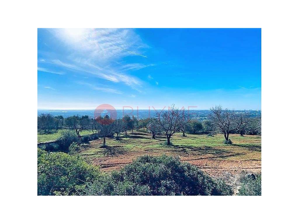 Terrenos Rústicos em Boliqueime - Malhadais, com Vista Mar - Grande imagem: 2/10