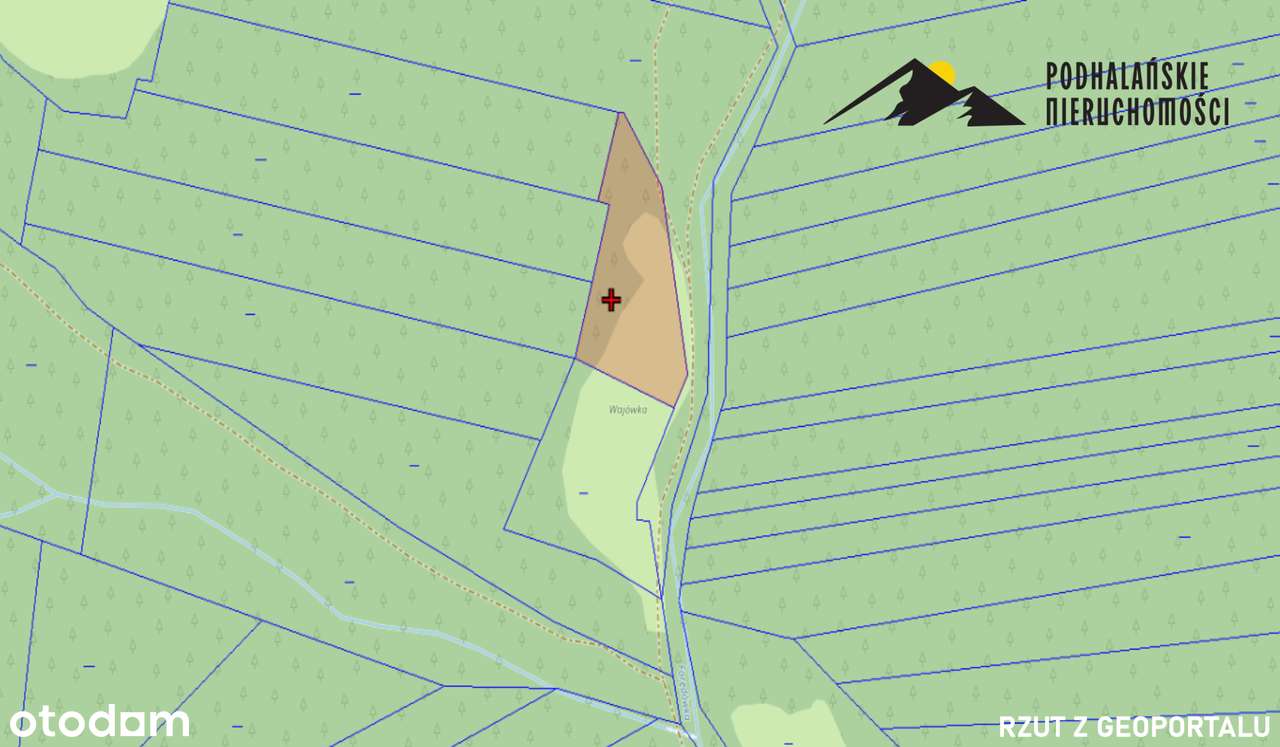 Polana w Gorcach w spokojnej okolicy-2