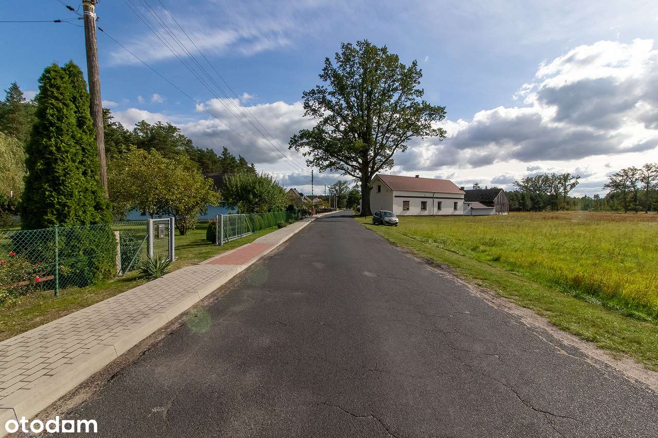 Dom na obrzeżach lasu. - Pełny obrazek: 3/20