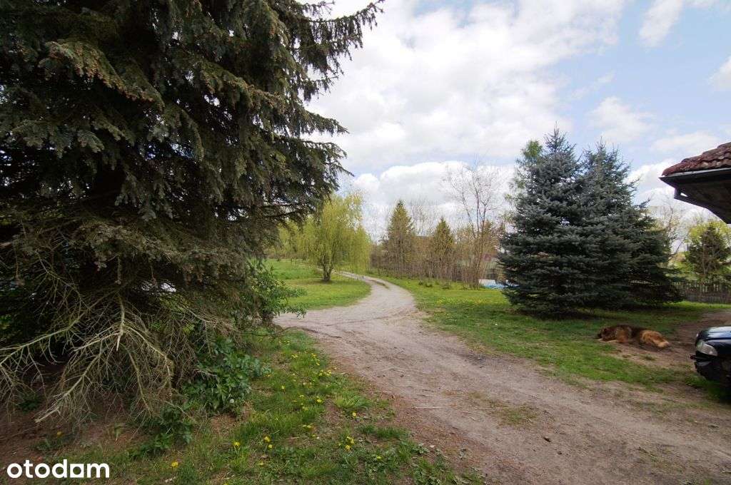 Nieruchomośc pod inwestycję idealna lokalizacja - Pełny obrazek: 4/9