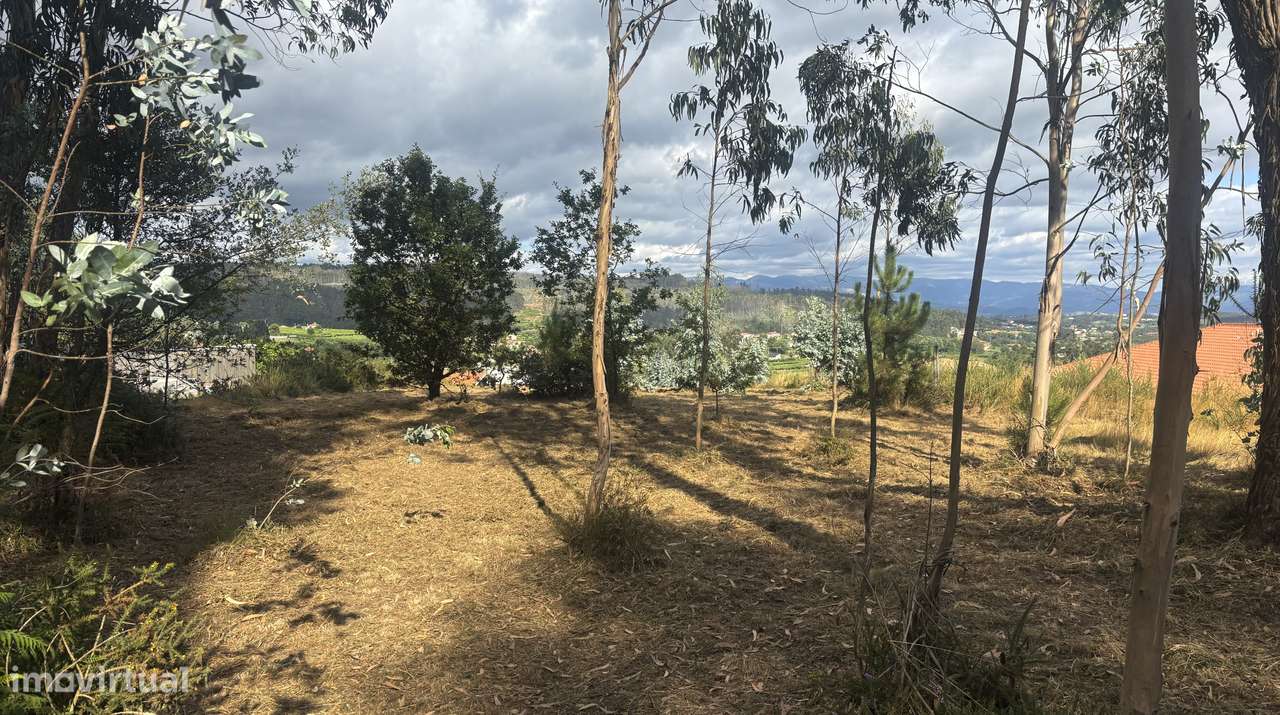 Terreno Caramos - Grande imagem: 4/5