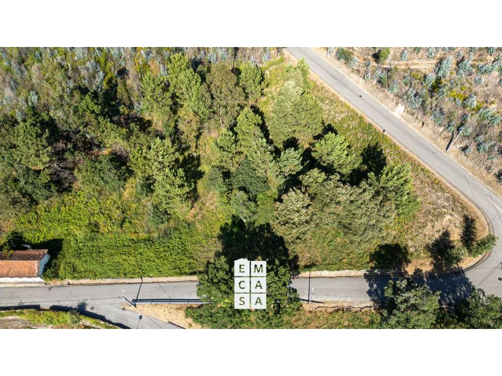 Terreno para Construção Vista Cidade e Mar | Branca - Albergaria-a-... - Grande imagem: 3/10