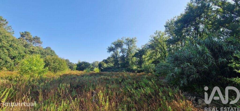 Terreno em Azueira e Sobral da Abelheira de 7500,00 m2 - Grande imagem: 4/18