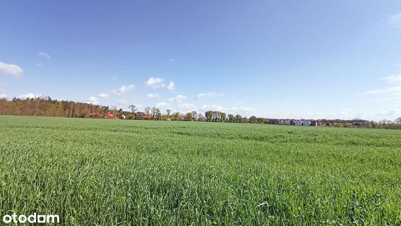 | Koninko | PROMOCJA | OKAZJA INWESTYCYJNA | działki budowlane | - Pełny obrazek: 5/7