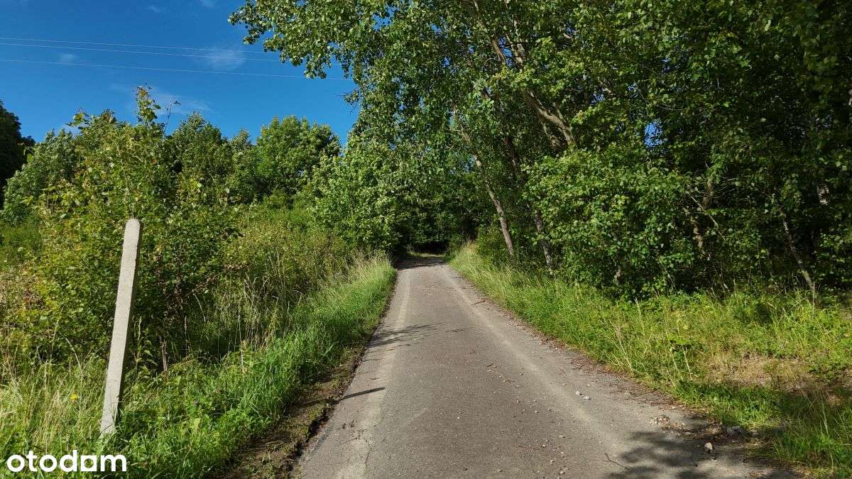 Urocza zielona działka z WZ | 37,56ar Odrzykoń - Pełny obrazek: 4/12