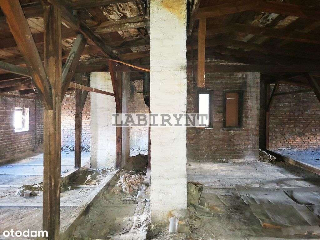 Centrum, wysoki strych, 247m2, 5 m. parkingowych*-6