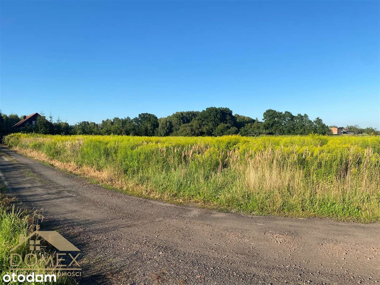 Ładna działka budowlana Chwałęcice - Pełny obrazek: 4/6