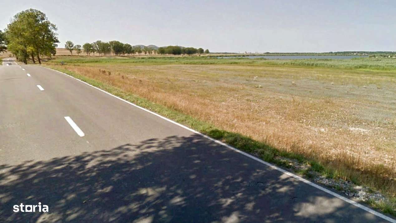 Teren intravilan de 1 Ha, cu iesire la lac, pretabil parc fotovoltaic - Imagine principală: 4/10