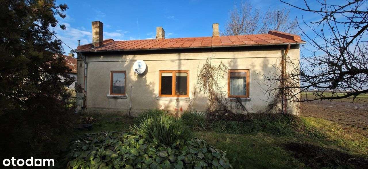 Dom, 100 m², Malina - Pełny obrazek: 4/20