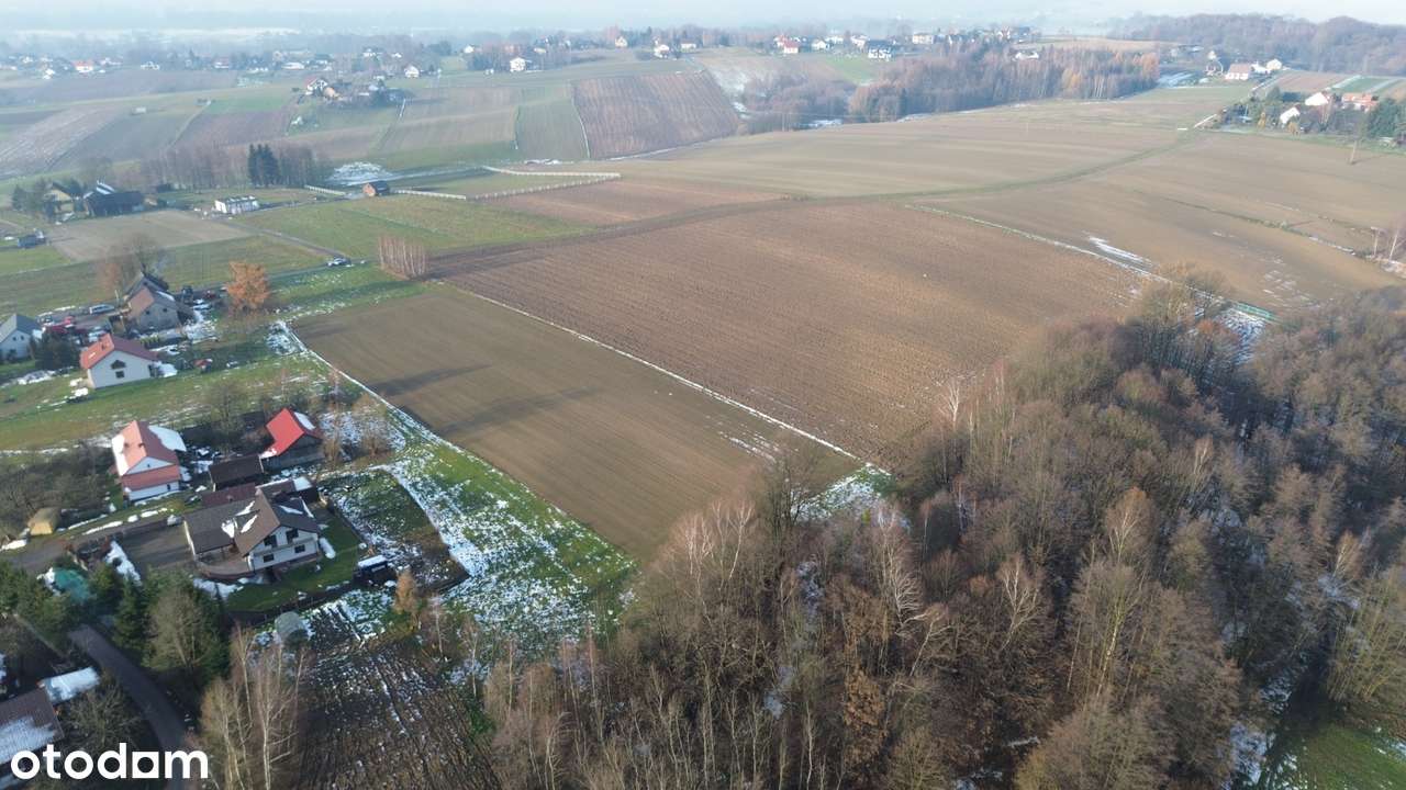 Na sprzedaż działka rolno zagrodowa 1.05 HA Babica gmina Wadowice - Pełny obrazek: 4/10