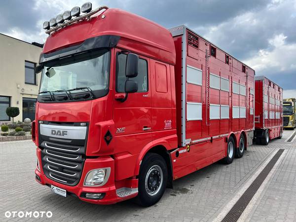 DAF XF 105.510 Oryginalny zestaw do przewozu trzody/bydła Pezzaioli/oś skrętna - 1