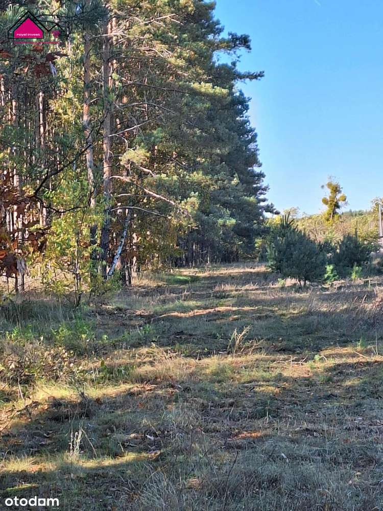 Unikatowa działka dla konesera ciszy i przestrzeni-0