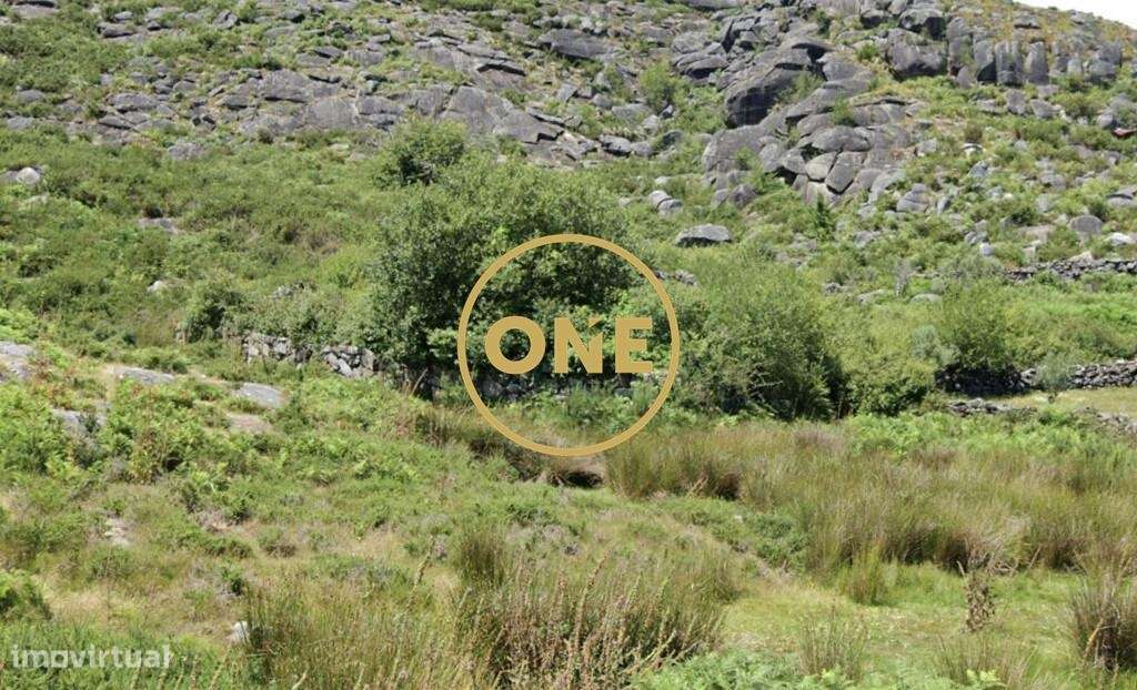 Terreno de Cultivo no Cerquido – Estorãos - Grande imagem: 3/3