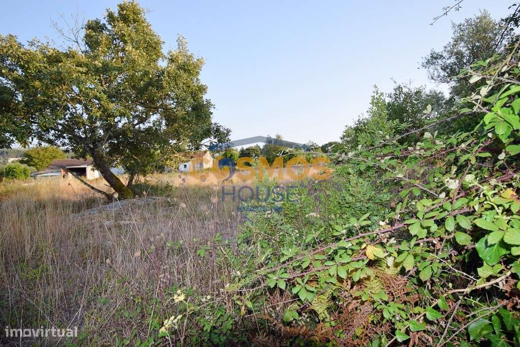 Moradia T2 c/ 6546 m2 terreno - Serra Candeeiros-12