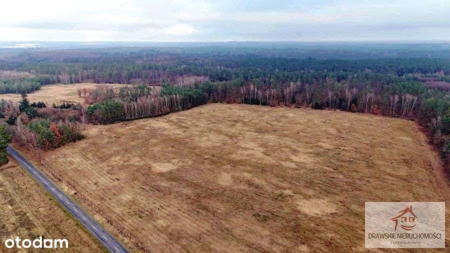 Dwie działki rolne, 25 ha w Pepłówku - Pełny obrazek: 3/13