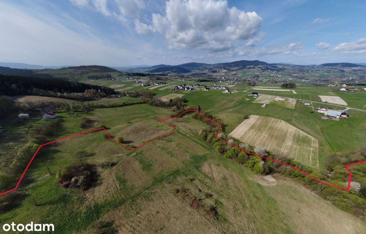 Działka rolna 4,5 ha - zachodni stok, dobra ekspozycja - Pełny obrazek: 5/8