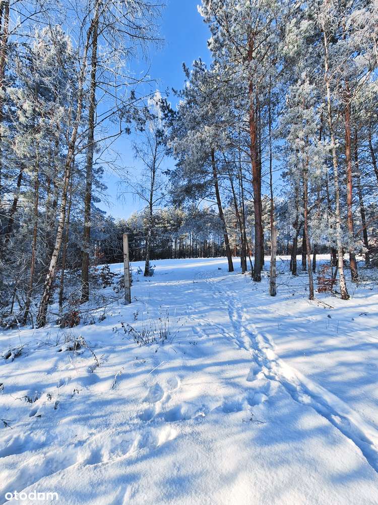 Wyjątkowa działka nad jeziorem – zjawiskowy widok, cisza i las!-12