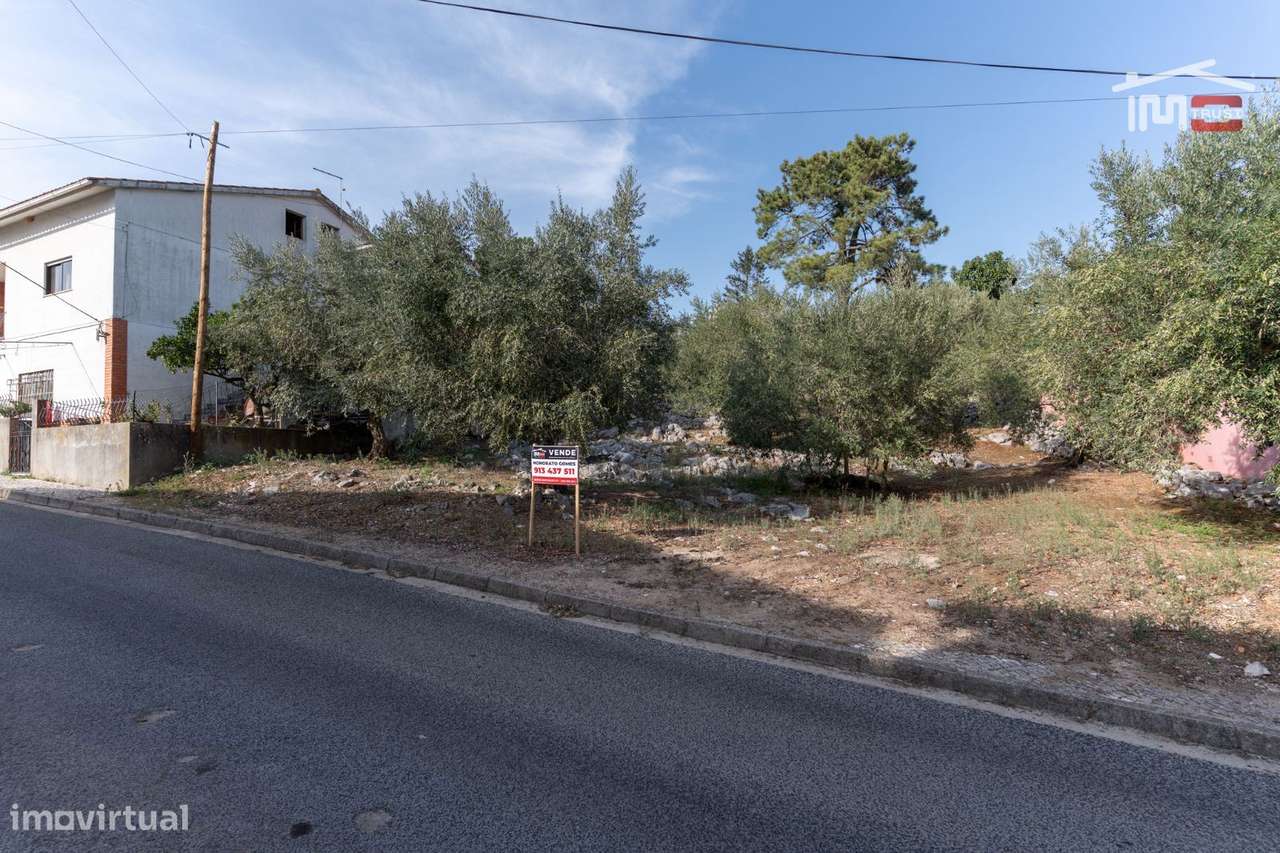 TERRENO URBANO COM AREA DE 1659 M2 PARA CONSTRUÇÃO EM MIRA DE AIRE ... - Grande imagem: 3/12