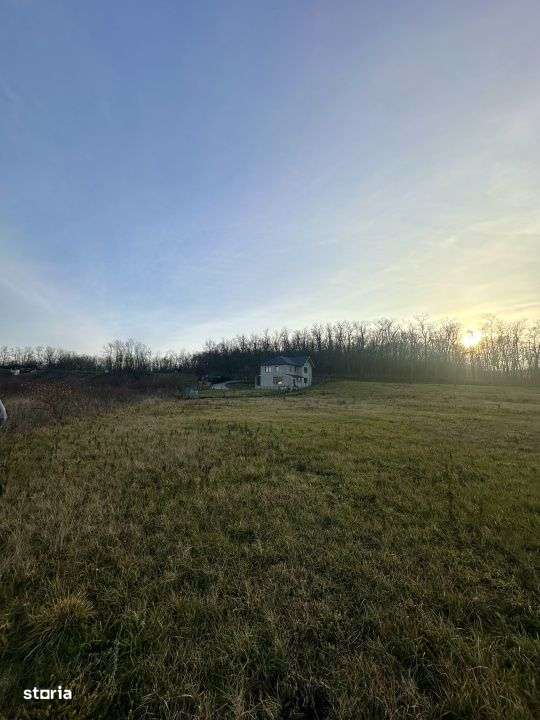 Teren intravilan 687 mp, de vanzare – Paleu, Bihor-4