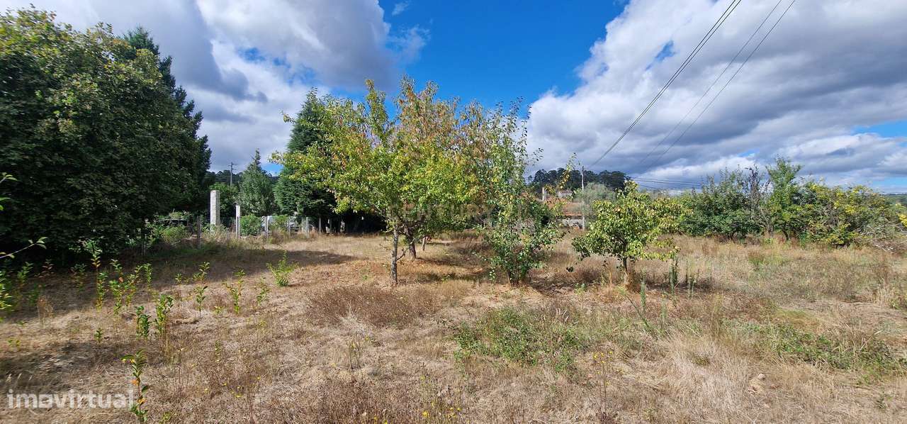 Terreno  – Couto de Baixo, Viseu - Grande imagem: 5/7