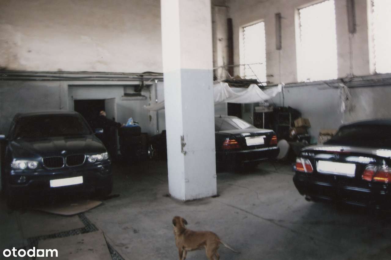 Nieruchomość  Komercyjna - Pełny obrazek: 5/19