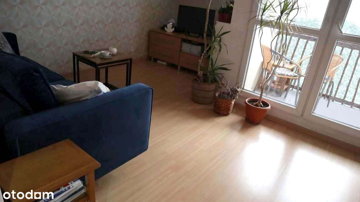 Rozkładowe -  M2  - KLIMZOWIEC - blisko PARK  /  blisko os. 1000 lecia-9