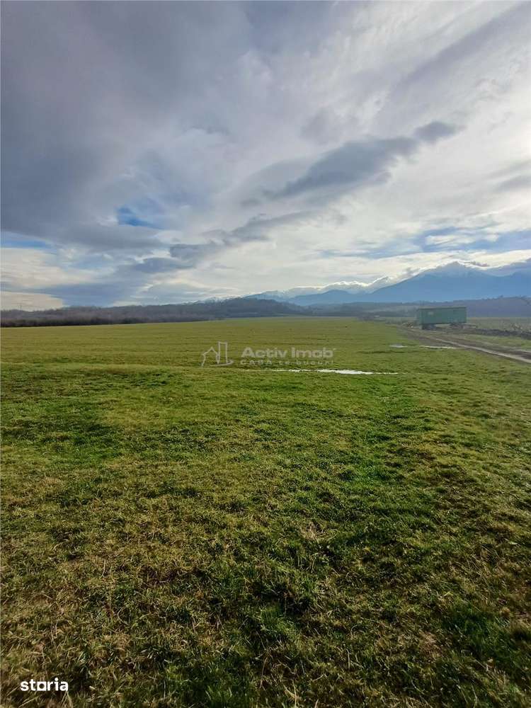 Teren de vanzare la iesire din Racovita-3