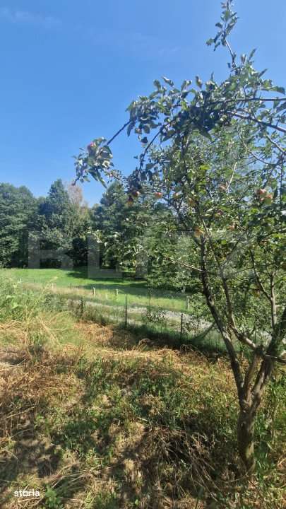 Casa PREDELUT , 4 camere - Imagine principală: 4/13