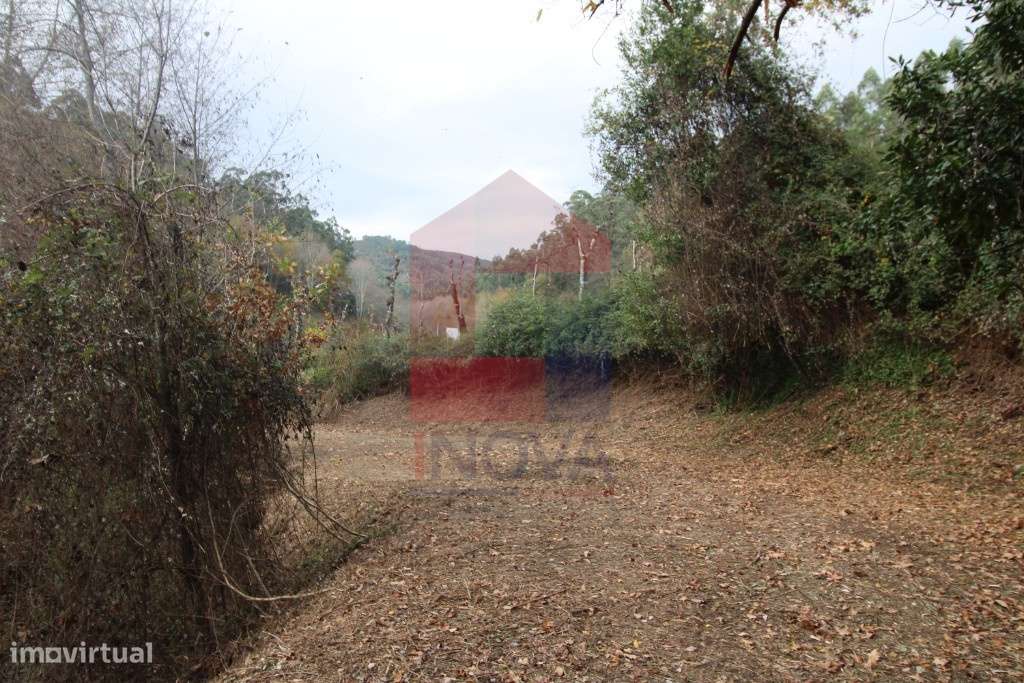 Terreno agrícola em Oriz Sta Marinha, Vila Verde - Grande imagem: 5/12