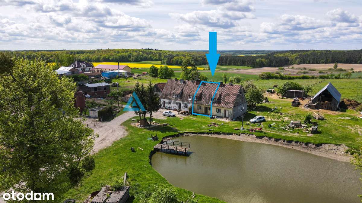 Dom do remontu niedaleko Prabut - Pełny obrazek: 2/15