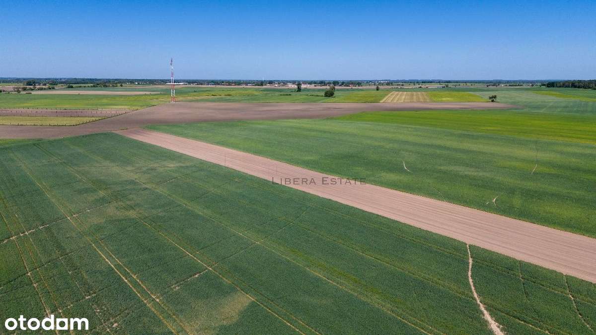 Chludowo, Budowlana, ul. Maniewska. 1200 m2. MPZP-12