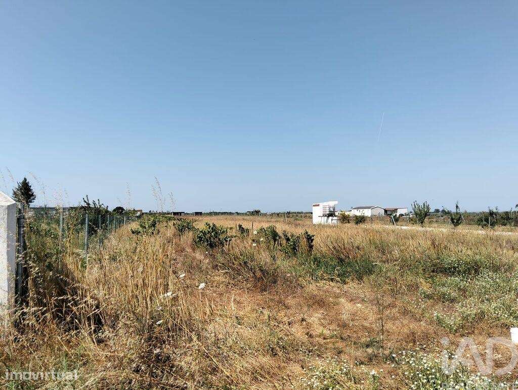 Terreno em Benfica do Ribatejo de 6720,00 m2 - Grande imagem: 4/29